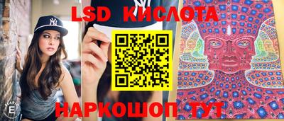 мдма Кингисепп